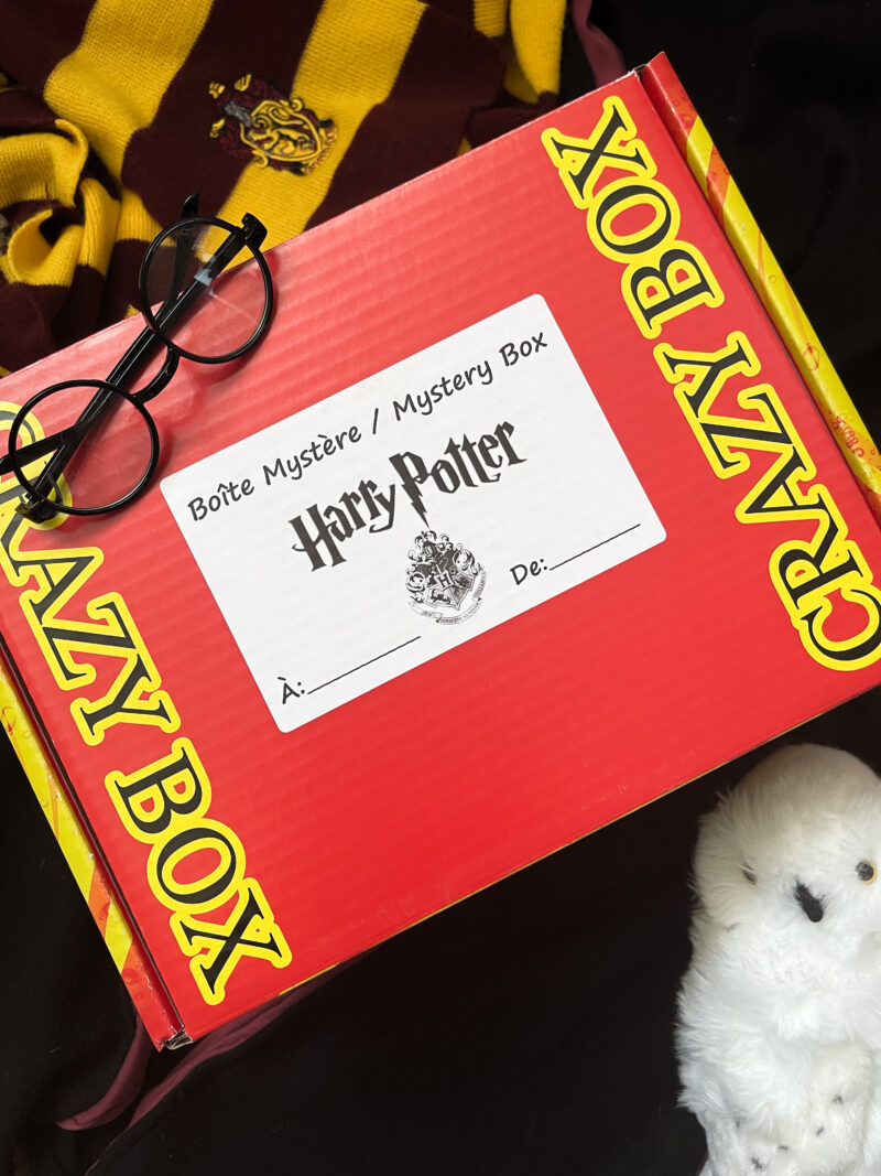 Top 5 des meilleures idées cadeaux pour un fan d'Harry Potter